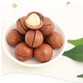 Wholesale Delicious Healthy Dried Fruits Shelled Macadamia